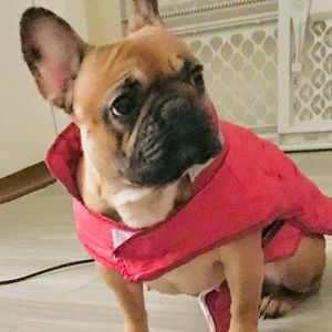 Meet your Posher, Julie